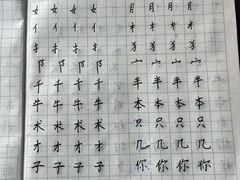 -赵汝飞练字硬笔书法(航头校区)