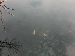 -芙蓉街-王府池子