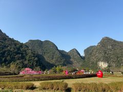 -靖西鹅泉风景区