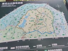 -莲花山公园