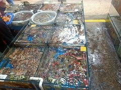 -船奇蒸汽海鲜·闽菜(八市海鲜总店)