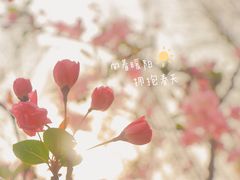 -大宁公园
