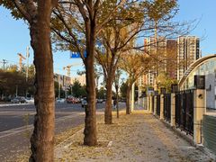 -兔途体检(十里堡青年路店)