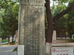 -赵州桥景区