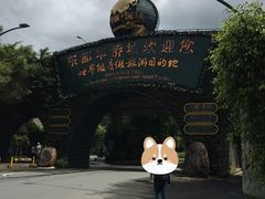 -东部华侨城