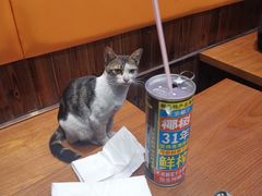 -盛世盐帮·自贡特色(总店)