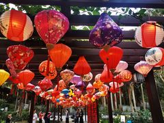 -深圳国际园林花卉博览园