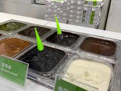 -Salud撒露欧洲冻酸奶(蓝色港湾店)
