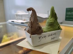 -野人先生现做冰淇淋(西安赛格店)