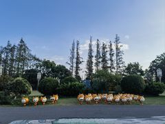 -上海长兴岛郊野公园