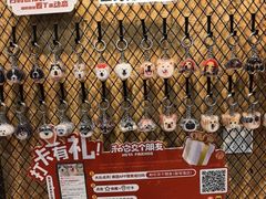 -和它·交个朋友·狗咖猫咖(爱琴海店)