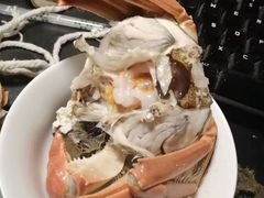 -黄记大闸蟹专卖店·活蟹·醉蟹