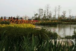 android_upload_pic-云湖游乐园