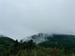 -四明山国家森林公园