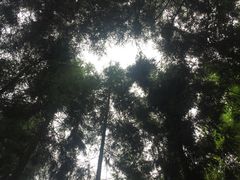 -龙窝子