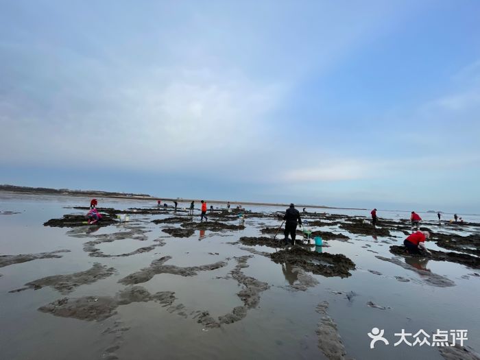 金沙岛赶海度假村