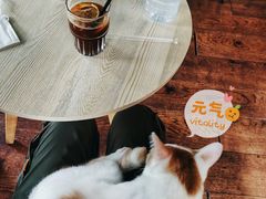 -251#coffee roasters(沿河东路店)