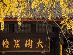 -古大圣慈寺