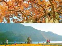 -广州市石门国家森林公园