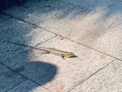 -海南清水湾莱佛士酒店