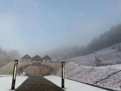 -云岭野山参风景区