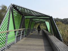 -西湖风景区-江洋畈生态公园