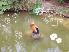 -扬州市茱萸湾风景区