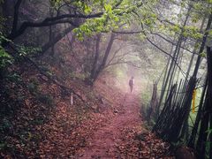 -莫干山风景区