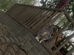 -百花人家(清水镇店)