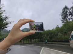 -梭布垭石林景区