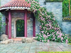 -深圳国际园林花卉博览园