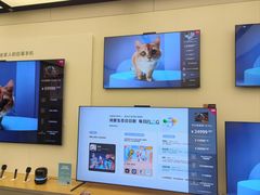 -华为智能生活馆(上海金桥国际商业广场)