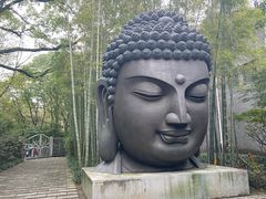 -杭州植物园