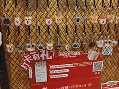 -和它·交个朋友·狗咖猫咖(爱琴海店)