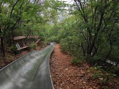 -富斯特索道