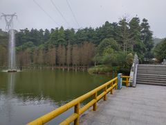 -广州市帽峰山景区