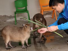 -盈香心动乐园