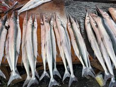 -仙本那小型鱼市