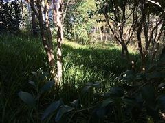 -新江湾城公园