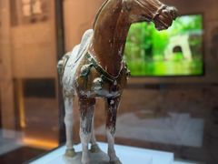 -衢州市博物馆
