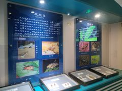 -上海昆虫博物馆