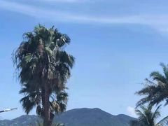 -东澳岛