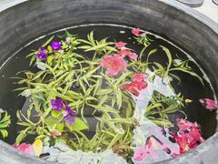 -老舍旧居