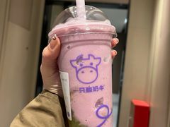 -一只酸奶牛(八一路店)