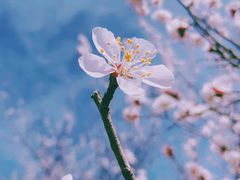 -居庸关长城