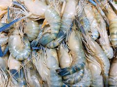 蓝色大长腿虾-蓝钻·国际美食海鲜自助百汇(西直门店)