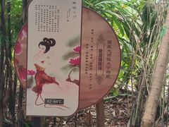 -龙达温泉生态城