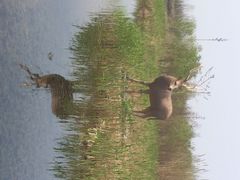 iphone_upload_pic-溱湖国家湿地公园