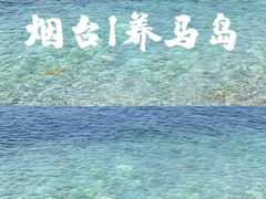 -养马岛旅游度假区