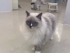 -共舞时光猫咖·狗咖(新街口店)
